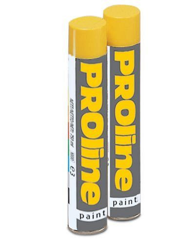 DENIOS PROline-paint Markierfarbe, Dose mit 750 ml, weiß, VE: 750 ml, 137169